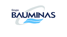 Grupo Bauminas